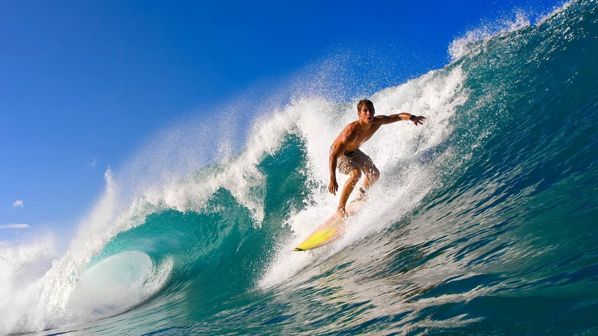 中国男排在亚洲锦标赛中夺冠,展现强大实力,中国男排 亚洲冠军